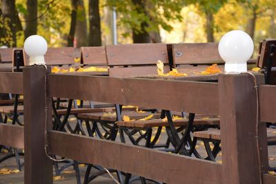 Close-up of bench in park