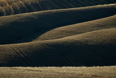 Scenic view of agricultural field