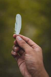 Close-up of hand holding plant against blurred background