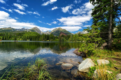 Scenic view of lake by trees against sky