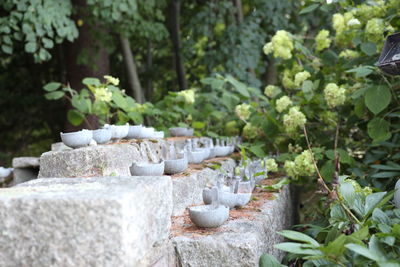 Stone wall by rocks and plants