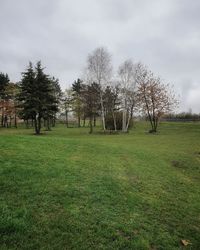 Trees on field against sky