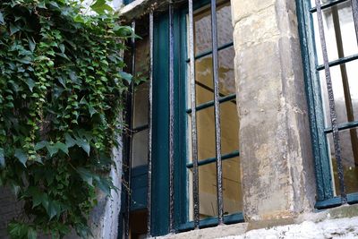 Close-up of house window