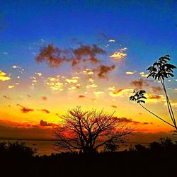 Silhouette of trees against cloudy sky