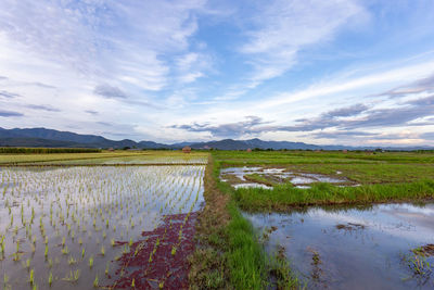 Scenic view of lake against sky