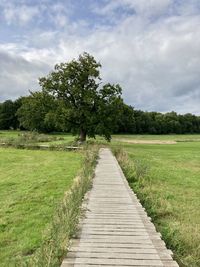 Dirt road along trees and plants against sky