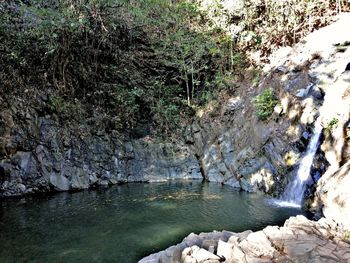 River flowing through rocks in forest