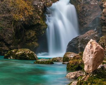 Scenic view of waterfall in forest