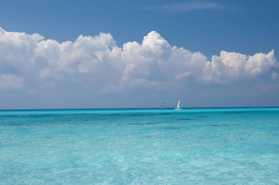 Small catamarans sailing, at the horizon of the turquoise sea, travel concept, caribbean ocean.
