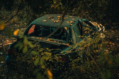 Close-up of abandoned car in woods