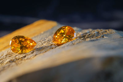 Close-up of dry leaf on rock