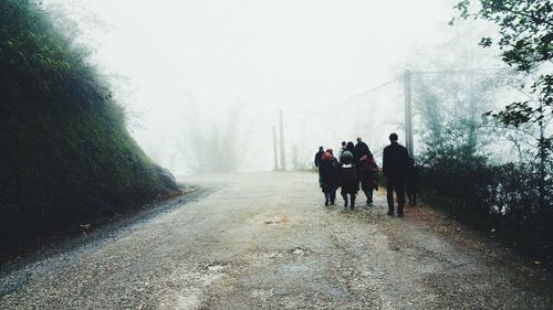 People walking in park