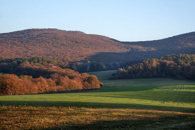 Scenic view of field against sky during autumn