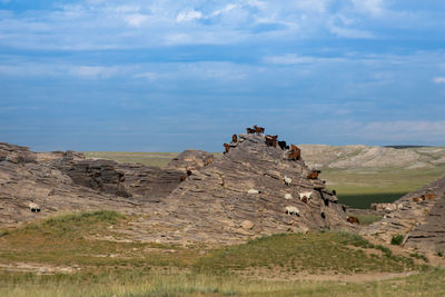 Scenic view of rocky mountains against sky