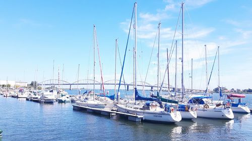 Sailboats moored in harbor