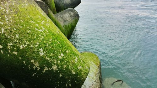 Close-up of sea shore