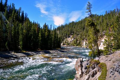 Scenic view of waterfall in forest against sky