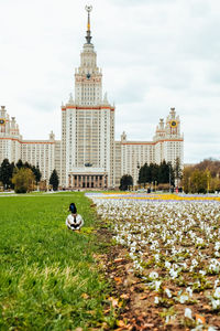 Mallard duck walks on lawn near building of moscow state university. most famous buildings in world