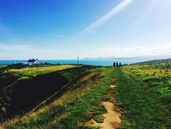 Scenic view of agricultural field against blue sky