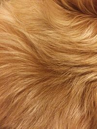 Full frame shot of white background