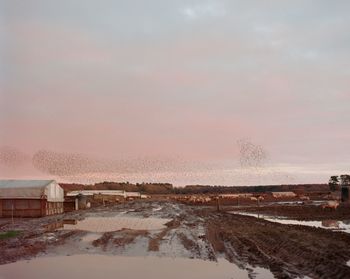 Snow covered land against sky during sunset