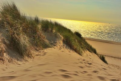 Scenic view of sea at sunset