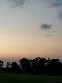 Trees on field against sky at sunset