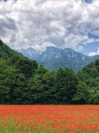 Scenic view of field and mountains against sky