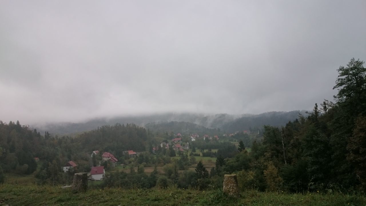 TREES ON COUNTRYSIDE LANDSCAPE AGAINST MOUNTAIN RANGE