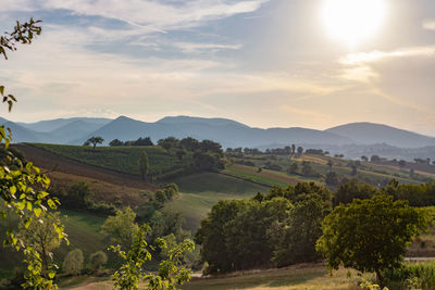 Scenic view of landscape against sky during sunset