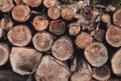 Full frame shot of logs in forest