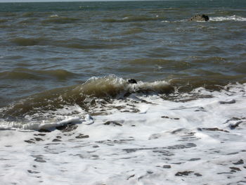 View of waves on beach