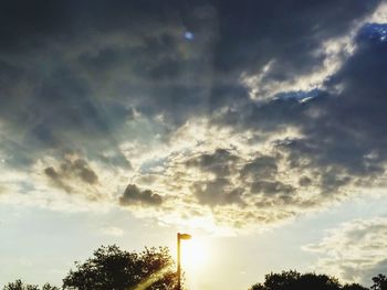 Low angle view of trees against sky during sunset