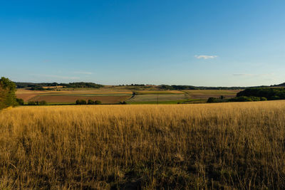 Scenic view of agricultural field against blue sky