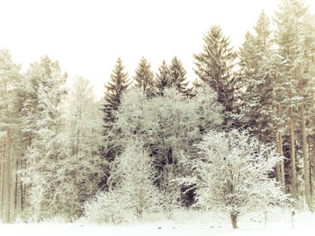 Scenic view of snow covered landscape