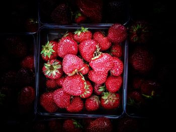 Close-up of strawberries