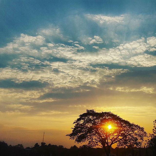 sunset, silhouette, sky, beauty in nature, scenics, cloud - sky, tranquility, tranquil scene, tree, low angle view, nature, orange color, idyllic, cloud, dramatic sky, outdoors, street light, sun, dusk, landscape