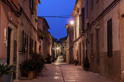 Illuminated empty alley amidst plants and buildings in old town at night