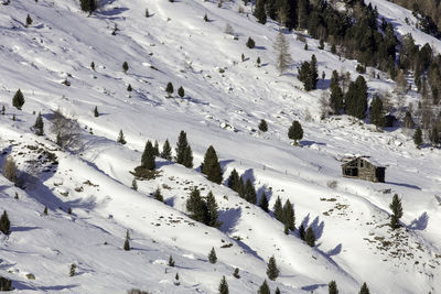 Scenic view of snow covered landscape
