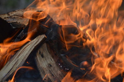 Close-up of bonfire