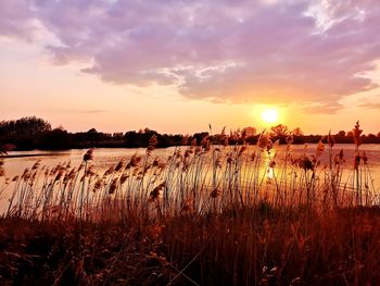 Scenic view of river against sky during sunset