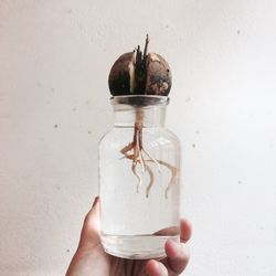 Close-up of hand holding ice cream in jar