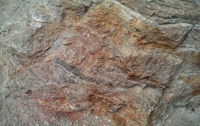 Full frame shot of textured surface