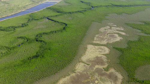 High angle view of agricultural field