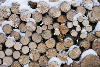 Full frame shot of logs