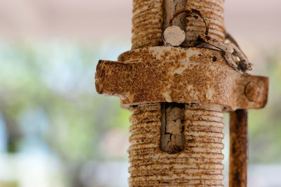 Close-up of rusty metal on wood