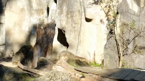 Panoramic view of rock formation