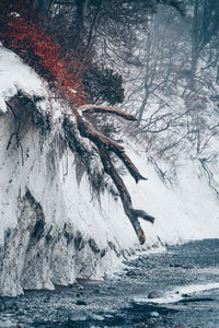 Person walking on snow covered land