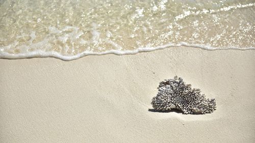 High angle view of sand on beach