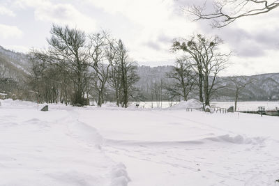 Trees on snow covered field against sky